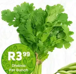 Take 'n Pay Dhania offer