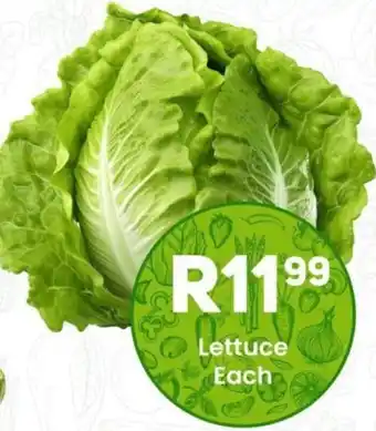Take 'n Pay Lettuce offer