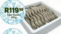 Take 'n Pay Tiger Prawns offer