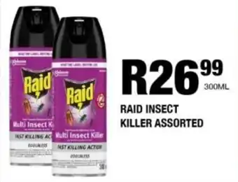 Take 'n Pay Raid insect killer assorted offer
