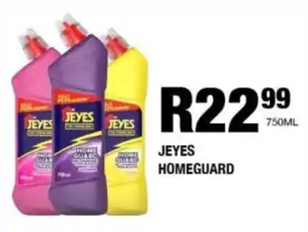 Take 'n Pay Jeyes homeguard offer