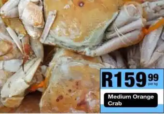 Take 'n Pay Medium Orange Crab offer