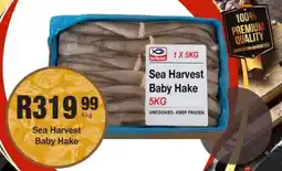 Take 'n Pay Sea Harvest Baby Hake offer