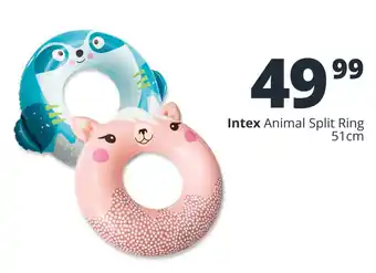 Checkers Intex Animal Split Ring offer