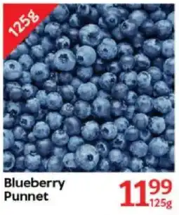 Oxford Freshmarket Blueberry Punnet offer