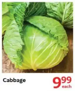 Oxford Freshmarket Cabbage offer