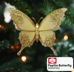 Makro Papilio Butterfly offer