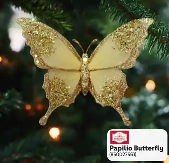 Makro Papilio Butterfly offer
