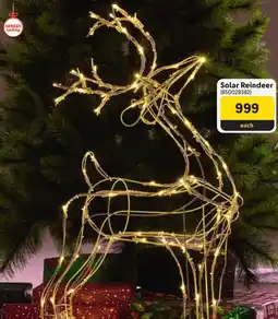 Makro Solar Reindeer offer