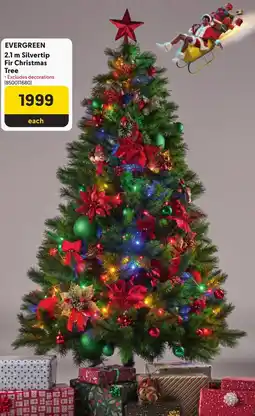 Makro Evergreen Silvertip Fir Christmas Tree offer