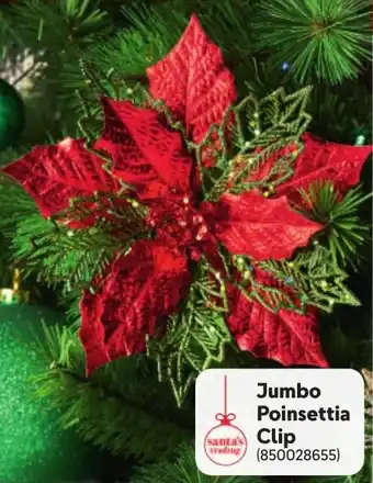 Makro Jumbo Poinsettia Clip offer