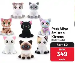 Makro Pets Alive Smitten Kittens offer