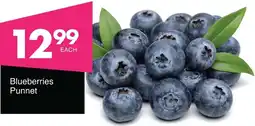 Save Hyper Blueberries Punnet offer