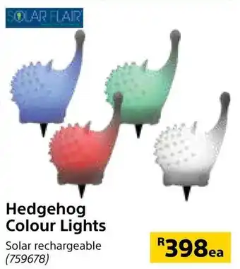 Hedgehog Colour Lights