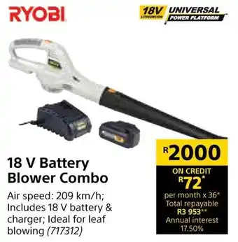 Builders Warehouse Ryobi Battery Blower Combo 18V offer