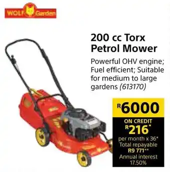 Builders Warehouse Wolf Garden Torx Petrol Mower 200cc offer