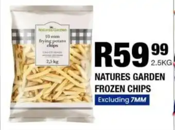 Take 'n Pay Natures garden frozen chips offer