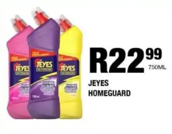 Take 'n Pay Jeyes homeguard offer