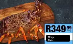 Take 'n Pay Cray Fish offer