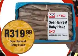 Take 'n Pay Sea Harvest Baby Hake offer