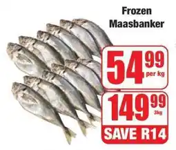 Boxer Frozen Maasbanker offer