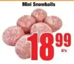 Boxer Mini Snowballs offer