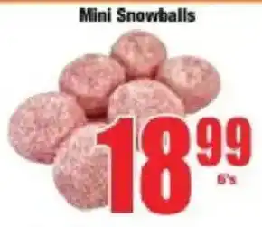 Boxer Mini Snowballs offer