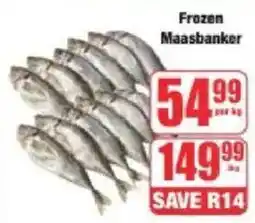 Boxer Frozen Maasbanker offer