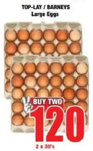 Boxer TOP-LAY/ BARNEYS Large Eggs offer