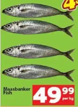 Check Save Maasbanker Fish offer