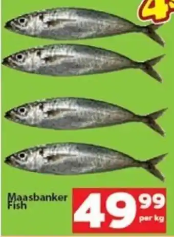 Check Save Maasbanker Fish offer