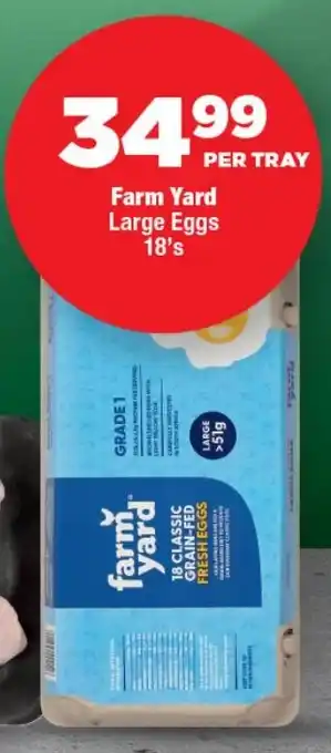 Farm Yard Large Eggs