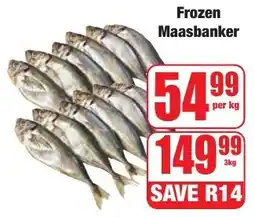 Boxer Superstores Frozen Maasbanker offer