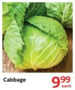 Oxford Freshmarket Cabbage offer