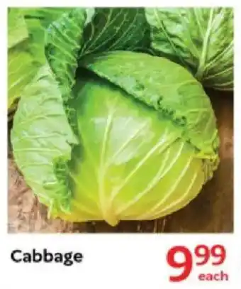 Oxford Freshmarket Cabbage offer