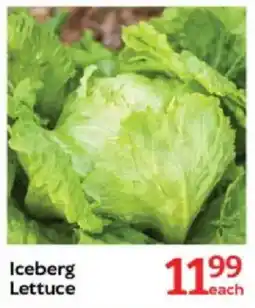 Oxford Freshmarket Iceberg Lettuce offer