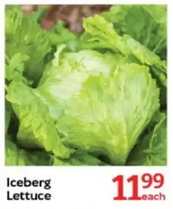 Oxford Freshmarket Iceberg Lettuce offer