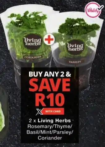 Checkers Living Herbs Rosemary/ Thyme/ Basil/ Mint/ Parsley/ Coriander offer