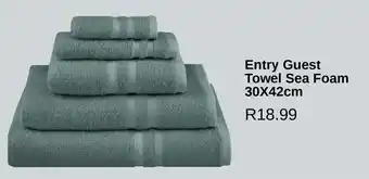 Entry Guest Towel Sea Foam