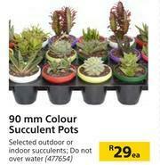 Builders Warehouse 90mm Colour Succulent Pots-Each offer