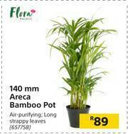 Builders Warehouse Flora 140mm Areca Bamboo Pot offer