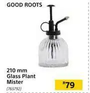Good Roots 210mm Glass Plant Mister