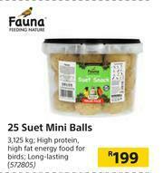 Builders Warehouse Fauna 25 Suet Mini Balls offer