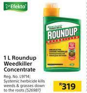 Efekto Roundup Weedkiller Concentrate-1L