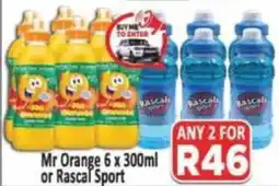 Supa Store Mr Orange or Rascal Sport offer