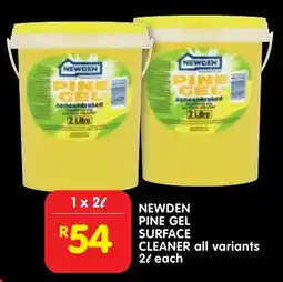 Shoprite Newden pine gel surface cleaner offer