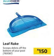 Blue Chem Leaf Rake