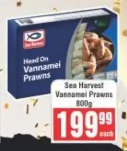 Frontline Sea Harvest Vannamel Prawns offer