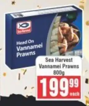Frontline Sea Harvest Vannamel Prawns offer