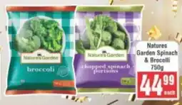 Frontline Natures Garden Spinach & Brocolli offer